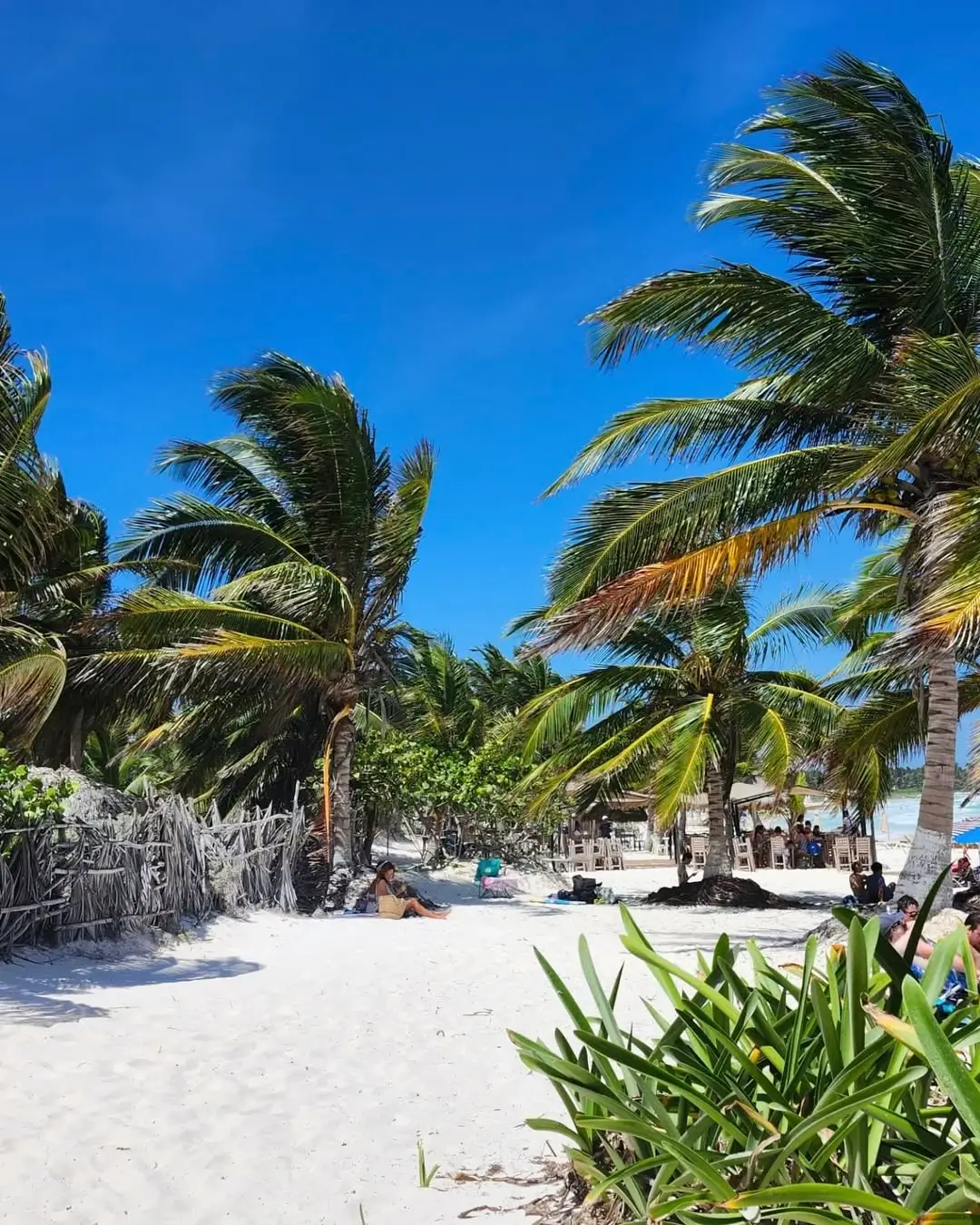 playa colosio en playa del carmen