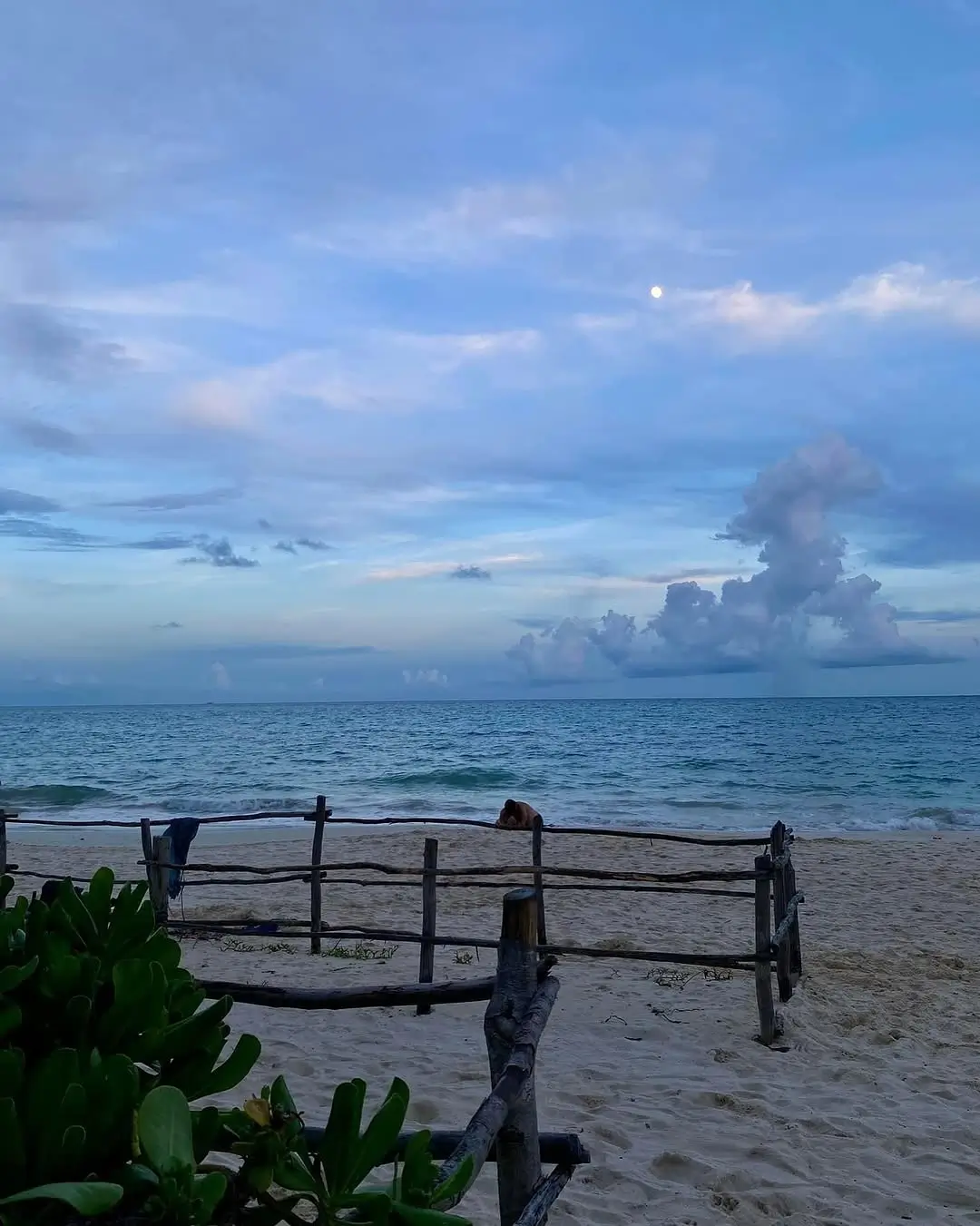 playa 72 en la riviera maya playa del carmen