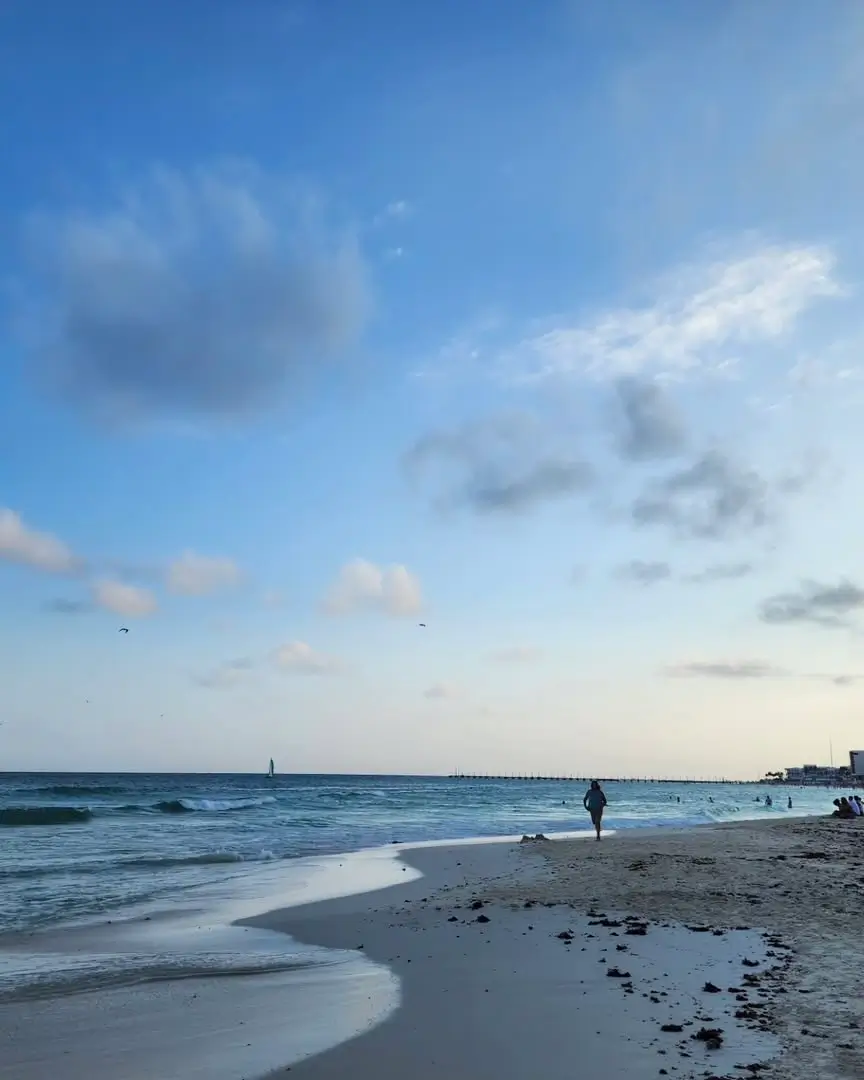 playa pelícanos en el centro en playa del carmen