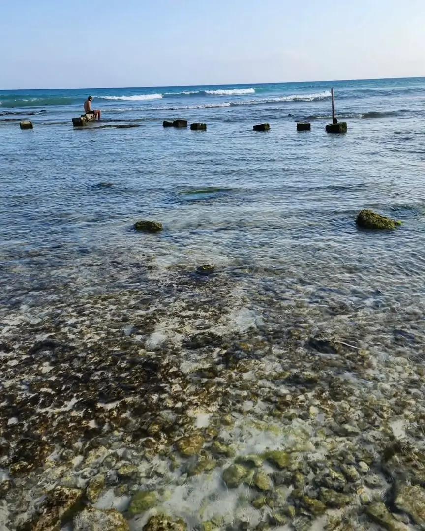 playa pelícanos en el centro de playa del carmen
