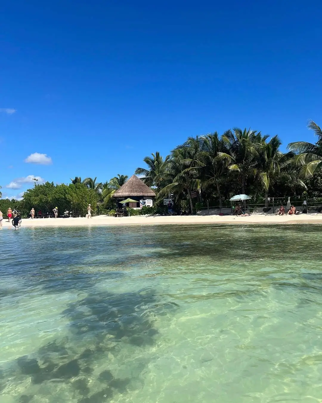 punta esmeralda en playa del carmen
